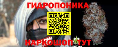 индика Ликино-Дулёво