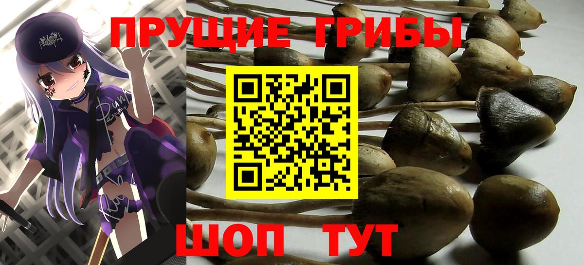 Тимашёвск  Псилоцибиновые грибы MAGIC MUSHROOMS  Вход с VPN 